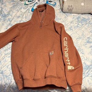 Carhartt Men's Rust Hoodie Sweater